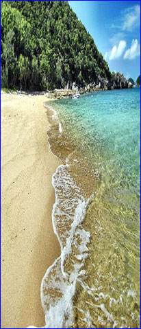 south mission beach explorer tracks