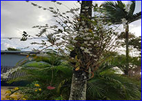 amazing scenery to enhance and sooth hard holidaying